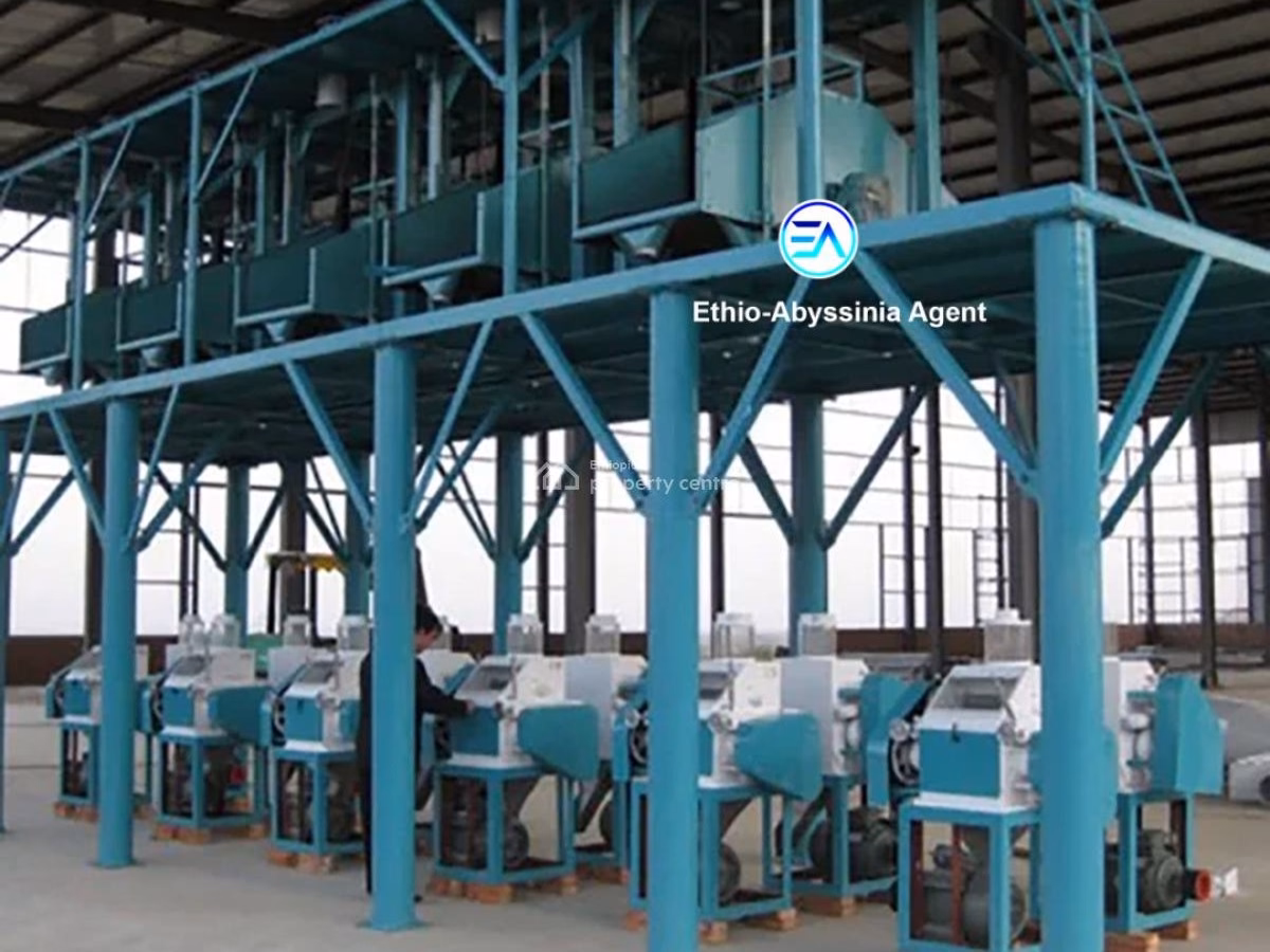 Flour Factory for sale- Gelan, Akaky Kaliti, Addis Ababa photo 1