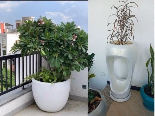 Fiber Glass Products photo 1